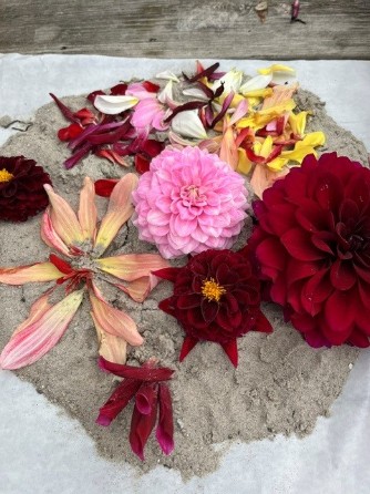 blommor på en liten bädd av sand